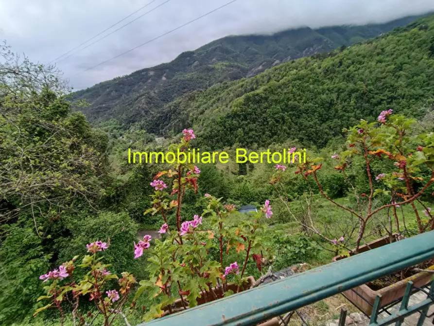 Immagine 15 di Villa in vendita  in AGAGGIO a Molini Di Triora