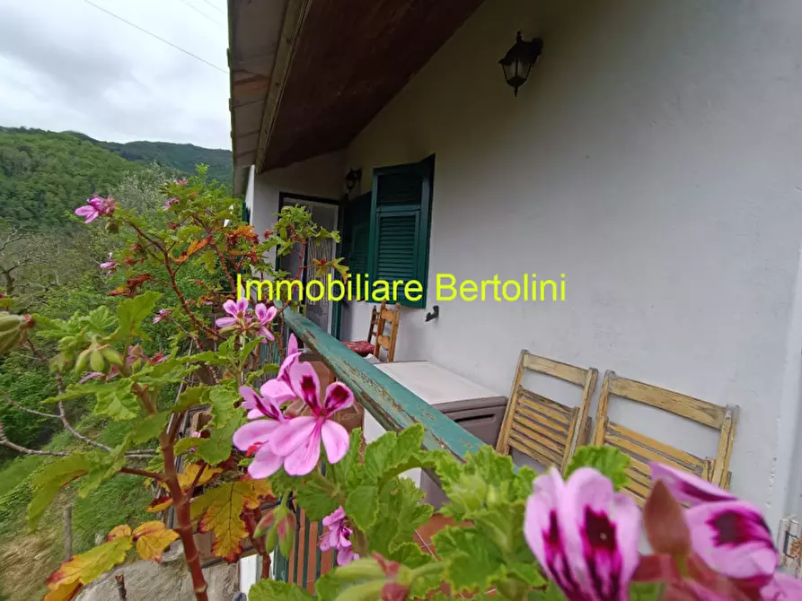 Immagine 17 di Villa in vendita  in AGAGGIO a Molini Di Triora