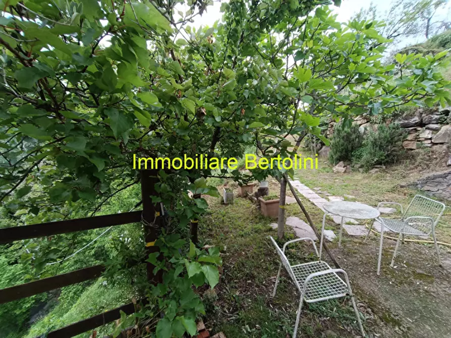 Immagine 18 di Villa in vendita  in AGAGGIO a Molini Di Triora
