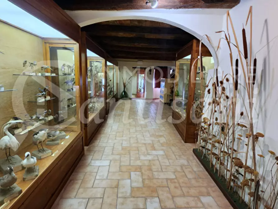 Immagine 9 di Palazzo in vendita  in piazza Tanucci a Pratovecchio Stia