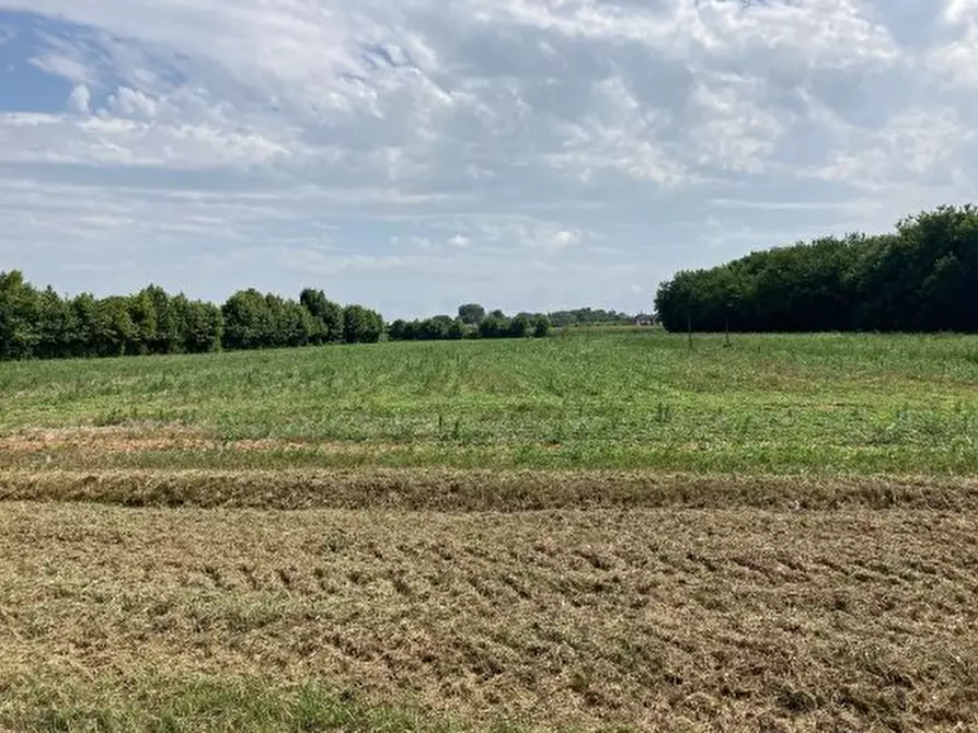 Immagine 1 di Terreno in vendita  in Val Giovanni Magrini a Stra