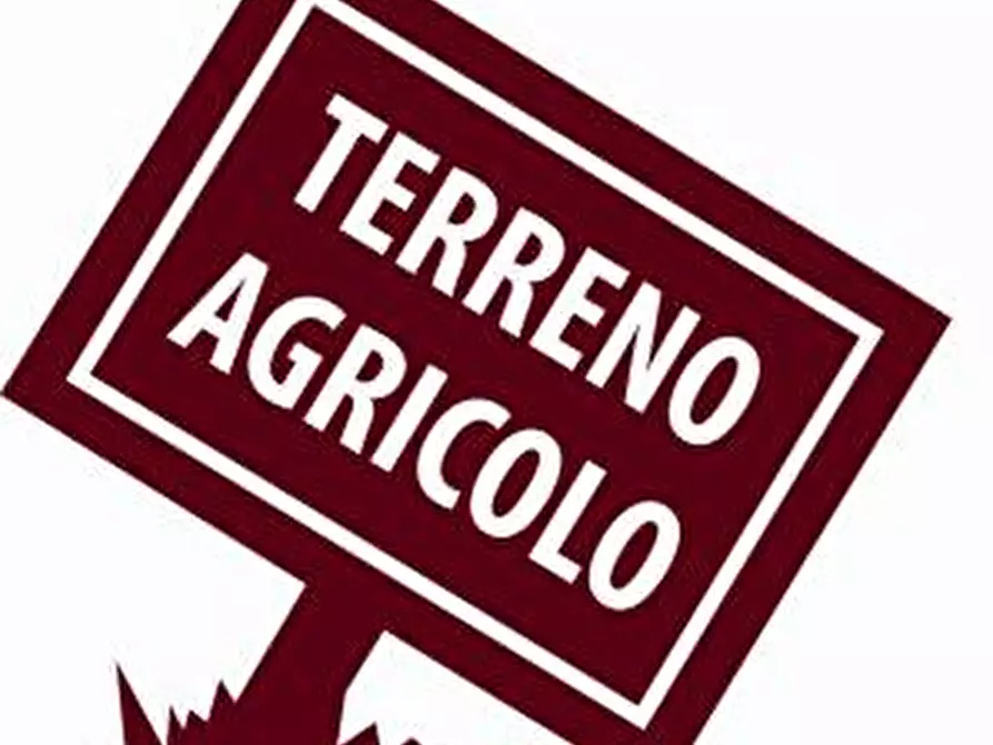 Immagine 1 di Terreno in vendita  in via ronchi a Loreggia