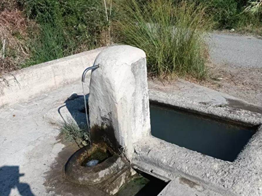 Immagine 8 di Terreno in vendita  a Riace