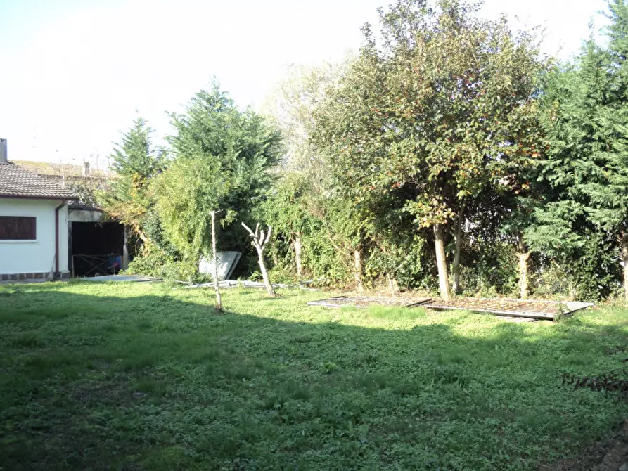 Immagine 13 di Casa indipendente in vendita  in VIA LIDI FERRARESI 205 a Ostellato