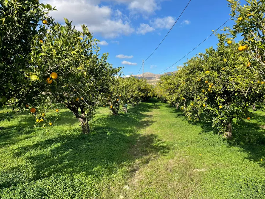 Immagine 1 di Terreno in vendita  in Contrada Panettieri a Caccamo