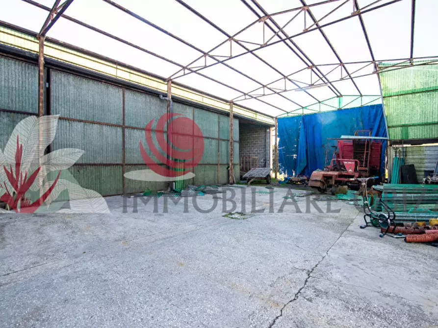 Immagine 12 di Casa indipendente in vendita  in Via Gazzo a Cartura