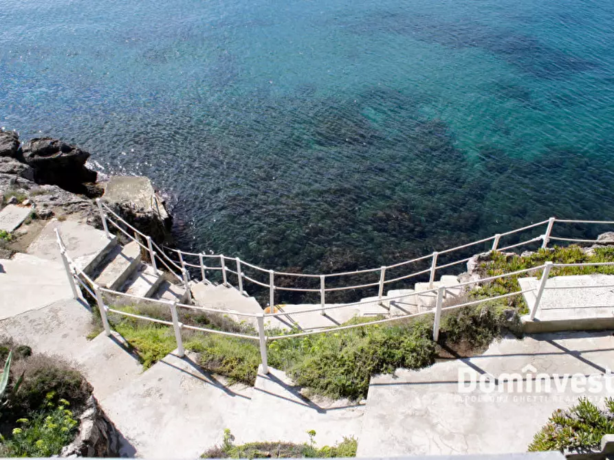 Immagine 6 di Villa in affitto  in Via delle Mimose a Orbetello