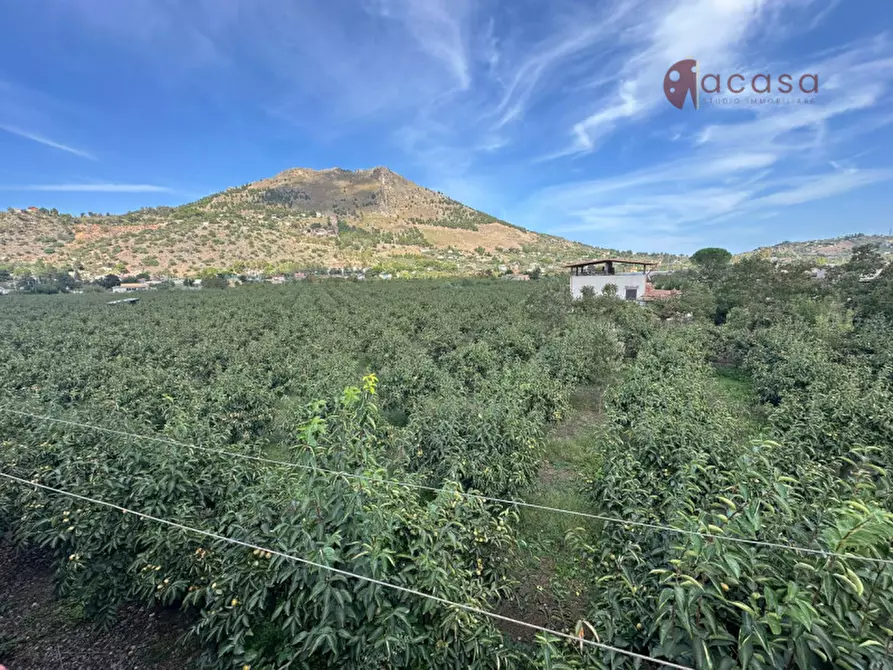 Immagine 33 di Villa in vendita  in Via Del Fico D'India a Misilmeri