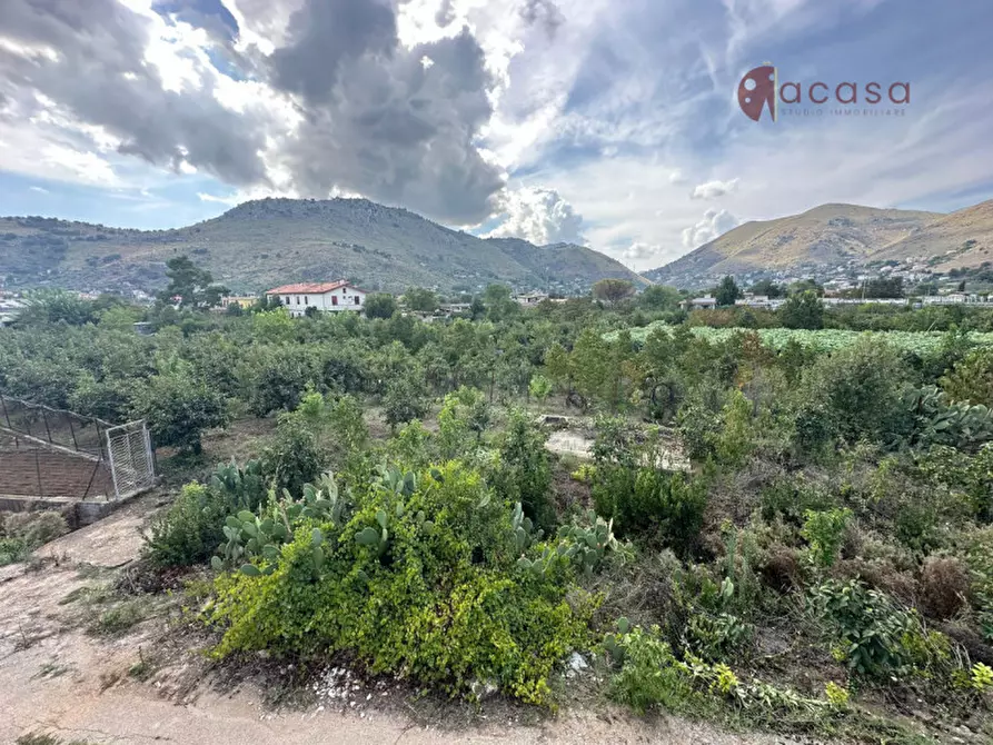 Immagine 34 di Villa in vendita  in Via Del Fico D'India a Misilmeri