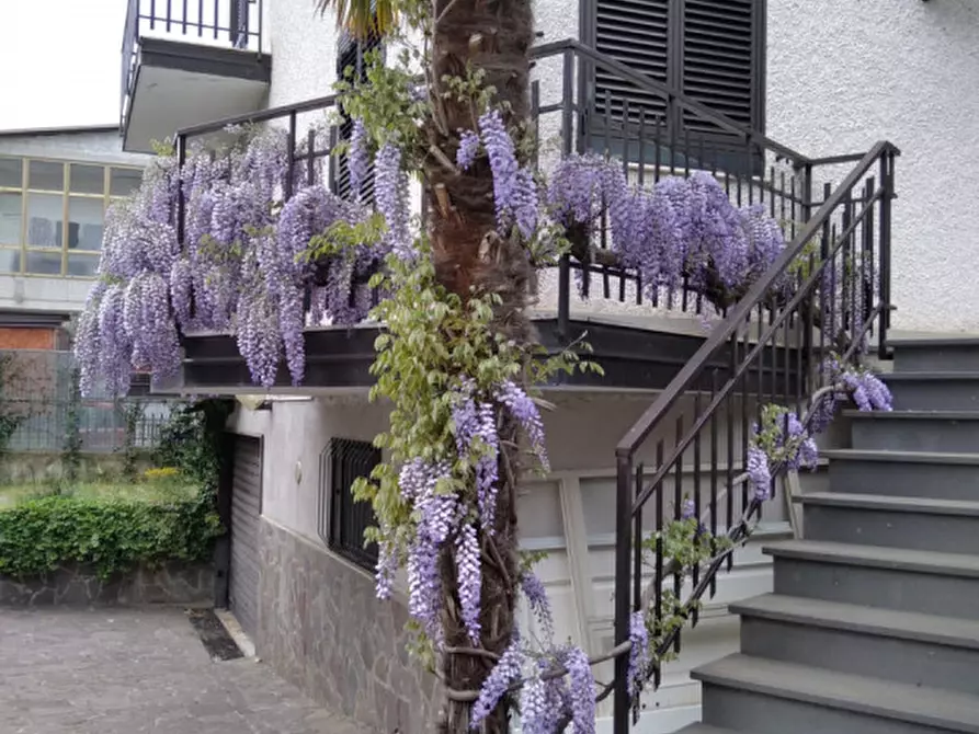 Immagine 2 di Villetta a schiera in vendita  in Via Pedali le Grotte a Marsicovetere
