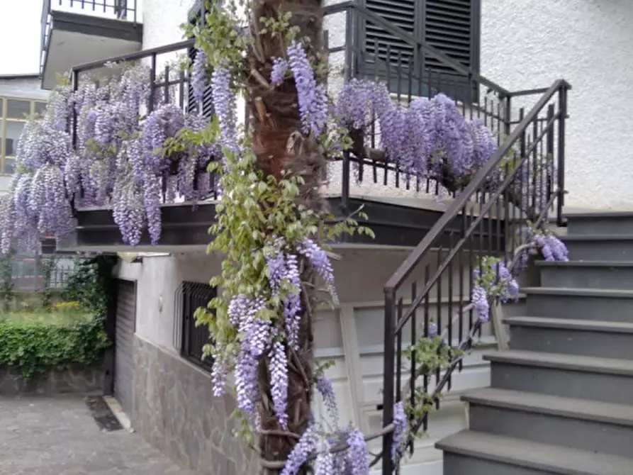 Immagine 5 di Villetta a schiera in vendita  in Via Pedali le Grotte a Marsicovetere