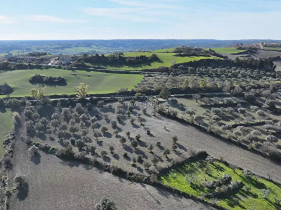 Immagine 8 di Villa in vendita  in Contrada San Giacomo a Ragusa