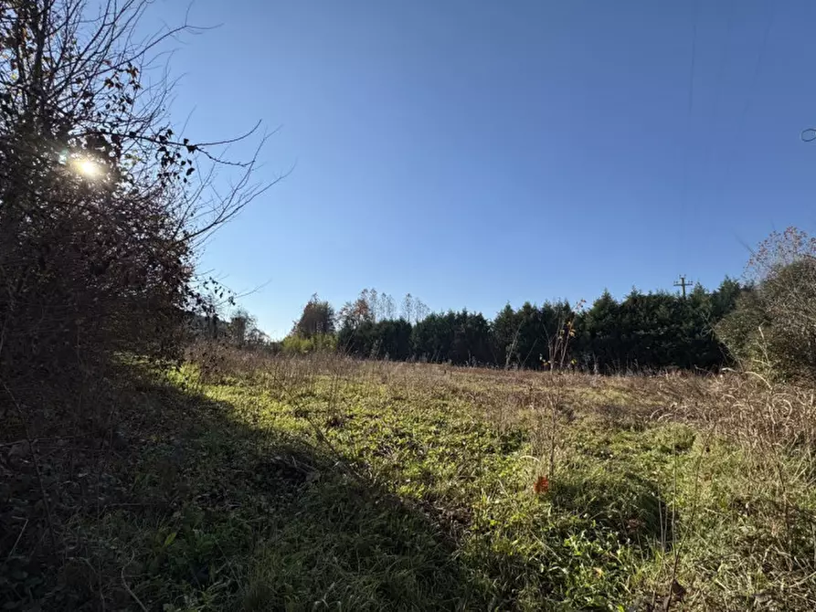 Immagine 1 di Terreno in vendita  in via Marconi a Colceresa