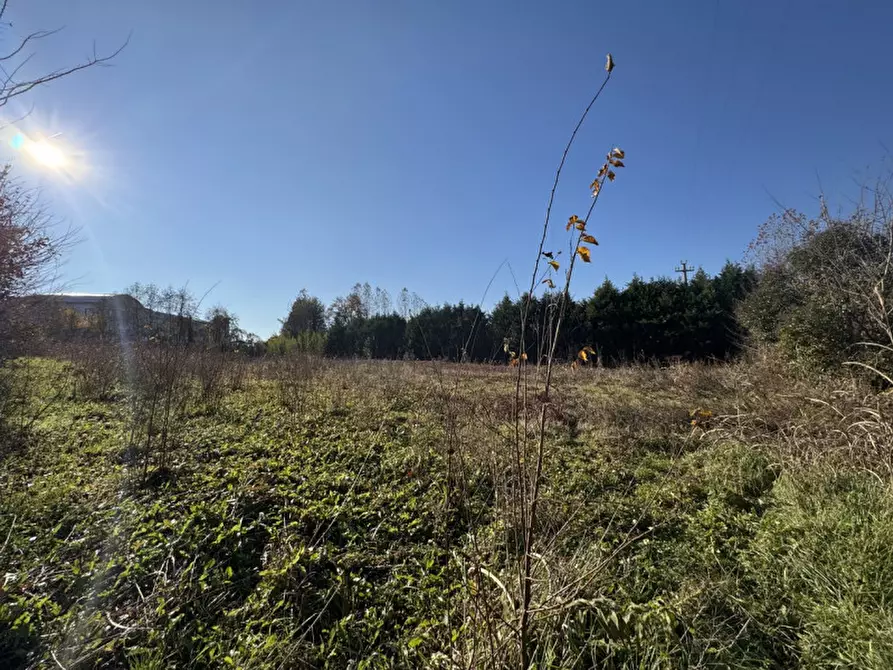 Immagine 2 di Terreno in vendita  in via Marconi a Colceresa