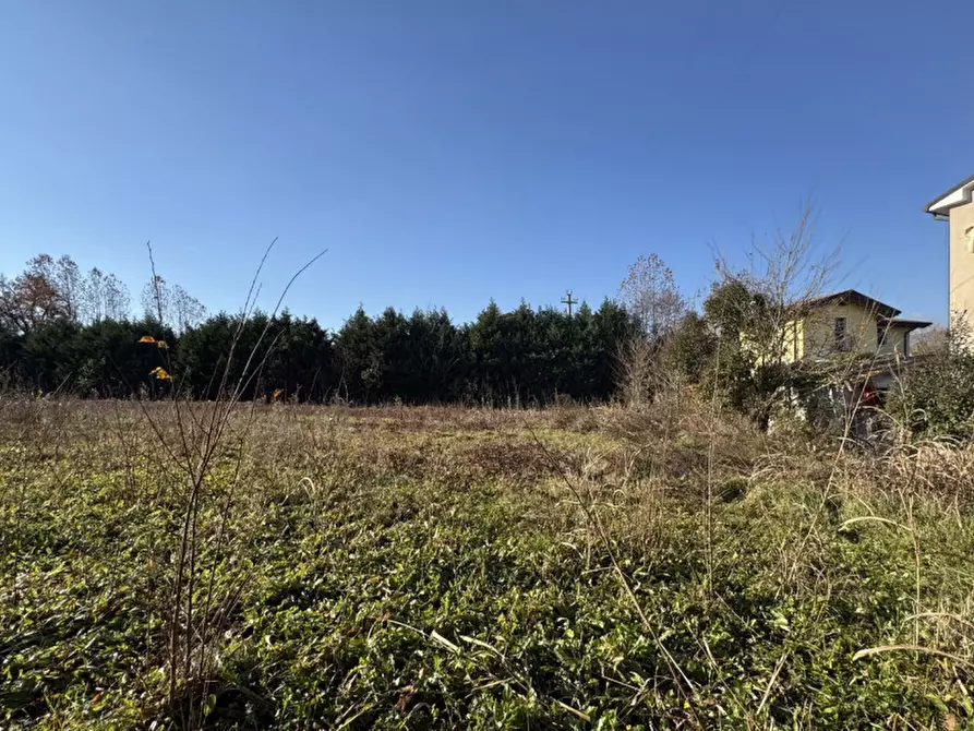 Immagine 3 di Terreno in vendita  in via Marconi a Colceresa