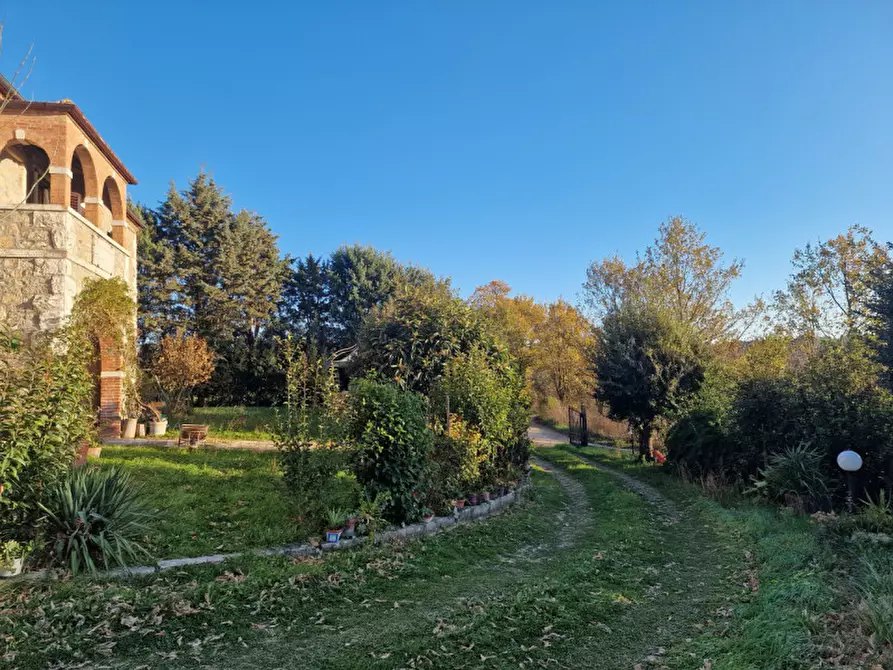 Immagine 4 di Rustico / casale in affitto  a Rapolano Terme