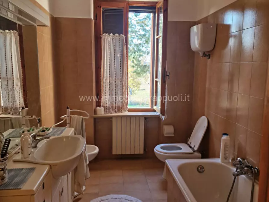 Immagine 5 di Rustico / casale in affitto  a Rapolano Terme