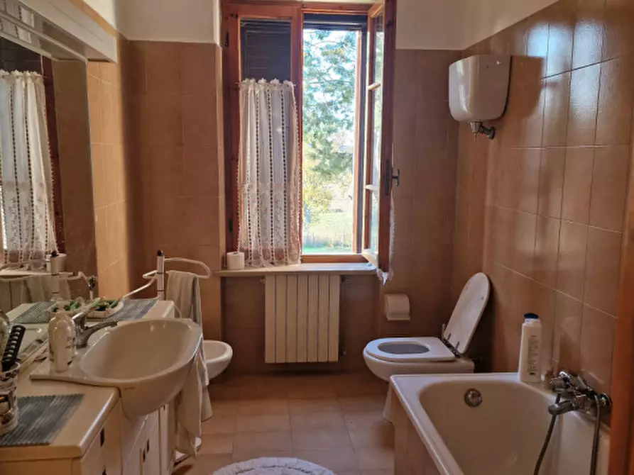 Immagine 10 di Rustico / casale in affitto  a Rapolano Terme