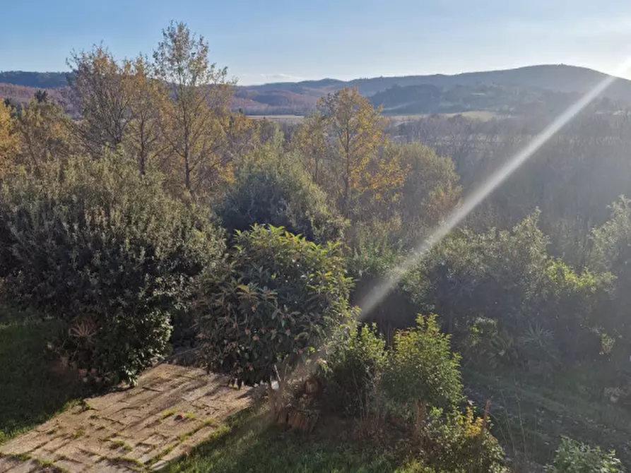 Immagine 12 di Rustico / casale in affitto  a Rapolano Terme