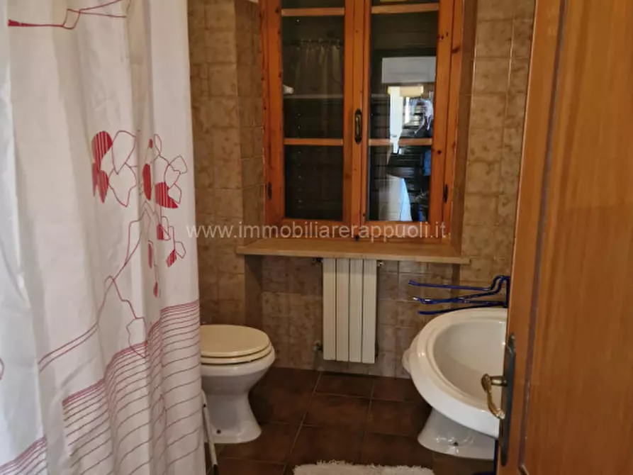 Immagine 19 di Rustico / casale in affitto  a Rapolano Terme