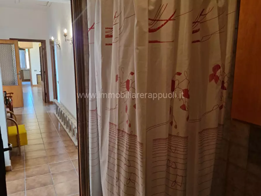 Immagine 20 di Rustico / casale in affitto  a Rapolano Terme