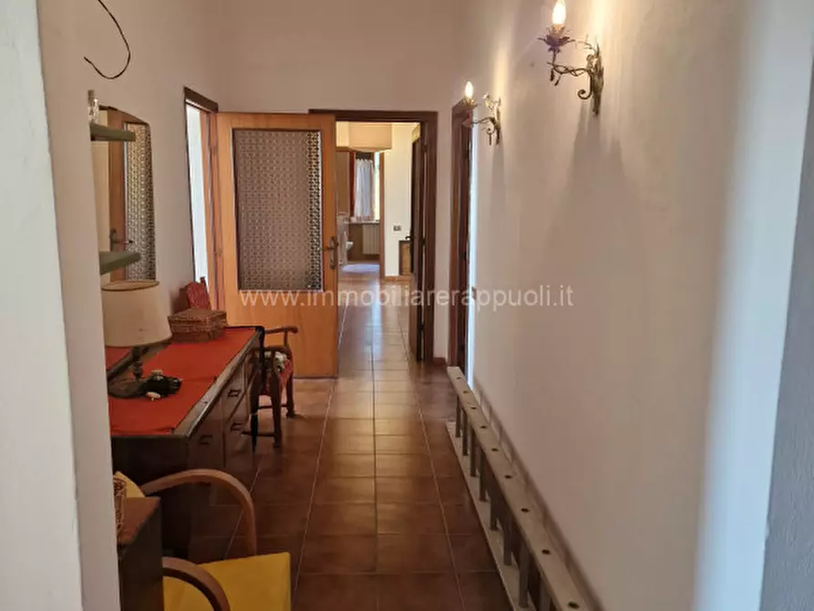 Immagine 21 di Rustico / casale in affitto  a Rapolano Terme