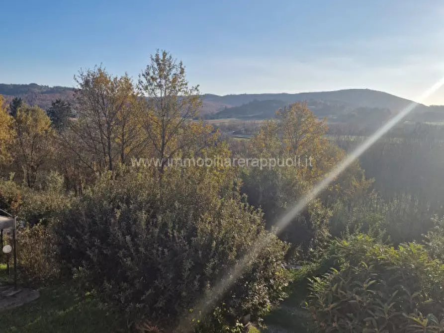 Immagine 25 di Rustico / casale in affitto  a Rapolano Terme