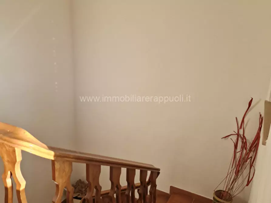 Immagine 31 di Rustico / casale in affitto  a Rapolano Terme