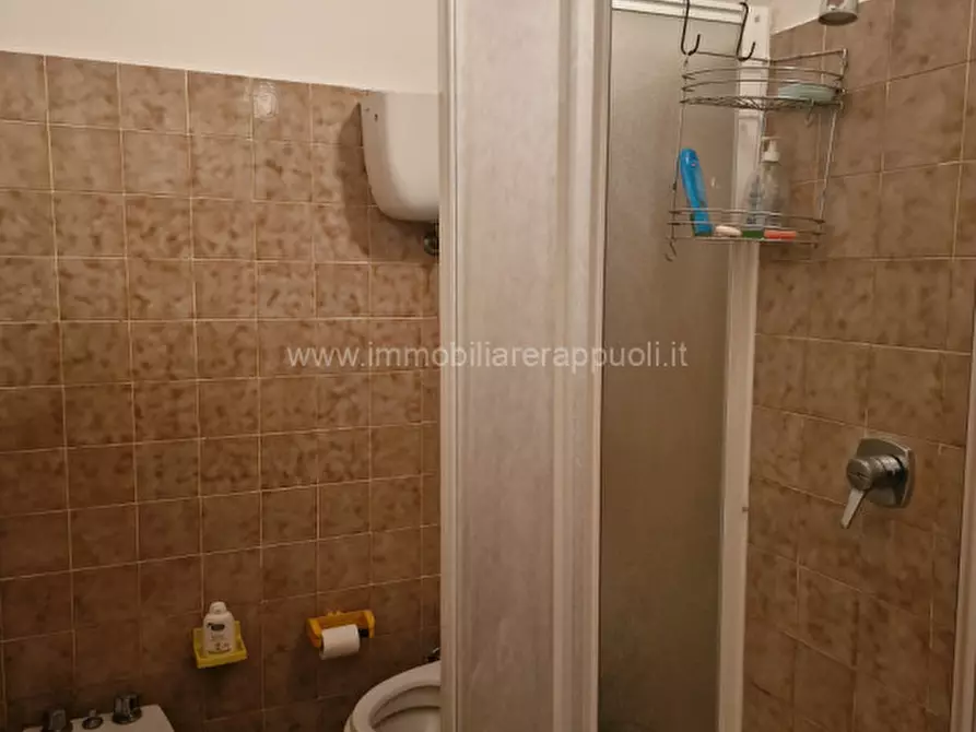 Immagine 38 di Rustico / casale in affitto  a Rapolano Terme