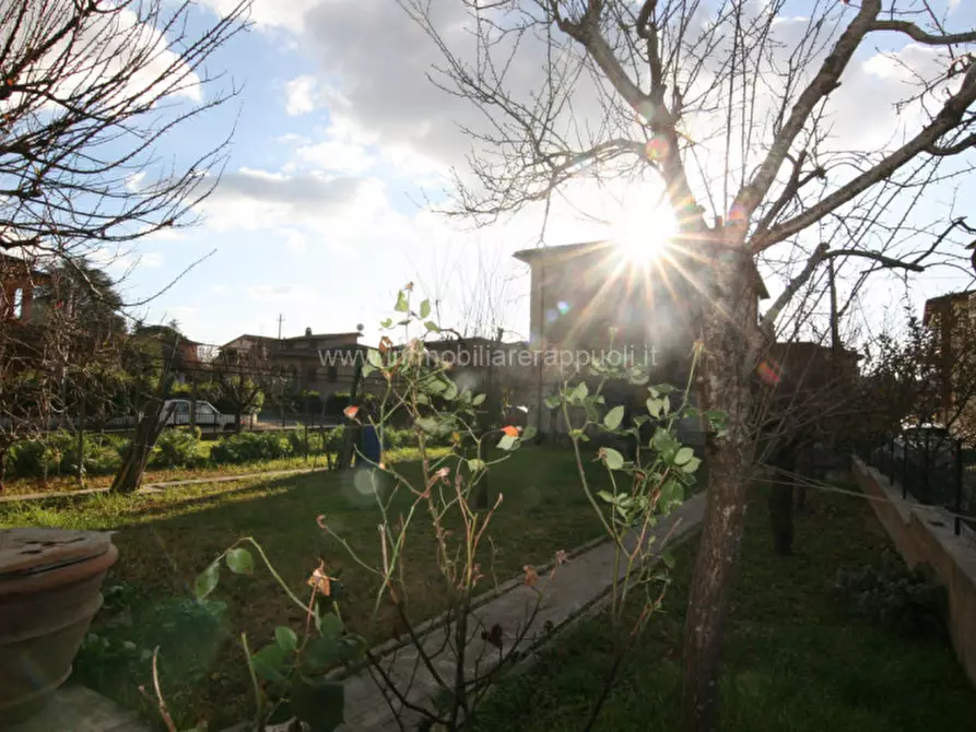 Immagine 12 di Casa indipendente in vendita  a Asciano