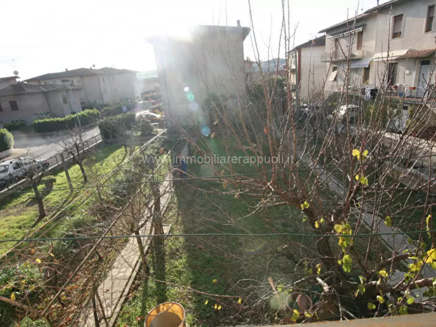 Immagine 24 di Casa indipendente in vendita  a Asciano