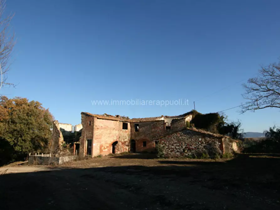 Immagine 1 di Rustico / casale in vendita  a Asciano