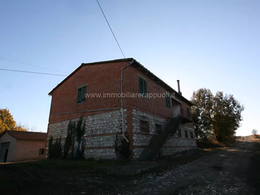 Immagine 3 di Rustico / casale in vendita  a Asciano