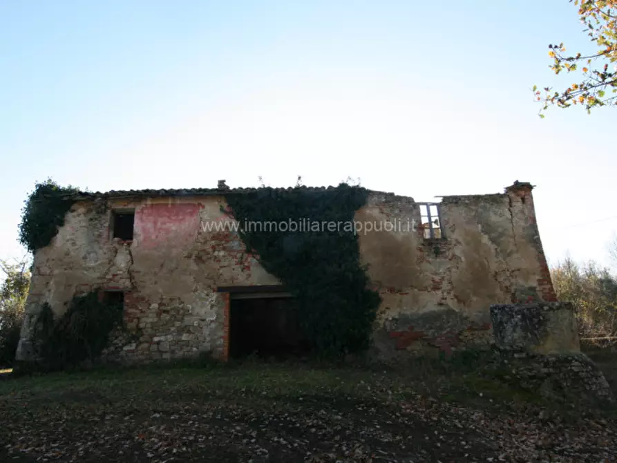Immagine 5 di Rustico / casale in vendita  a Asciano