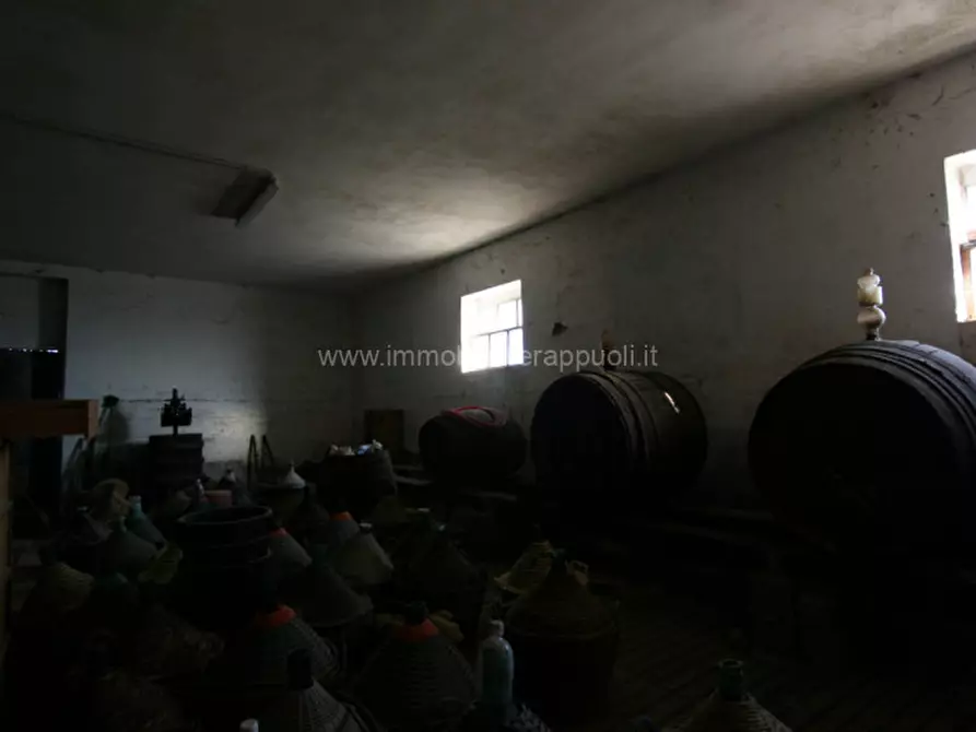 Immagine 10 di Rustico / casale in vendita  a Asciano