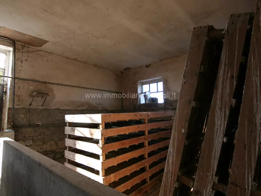 Immagine 11 di Rustico / casale in vendita  a Asciano
