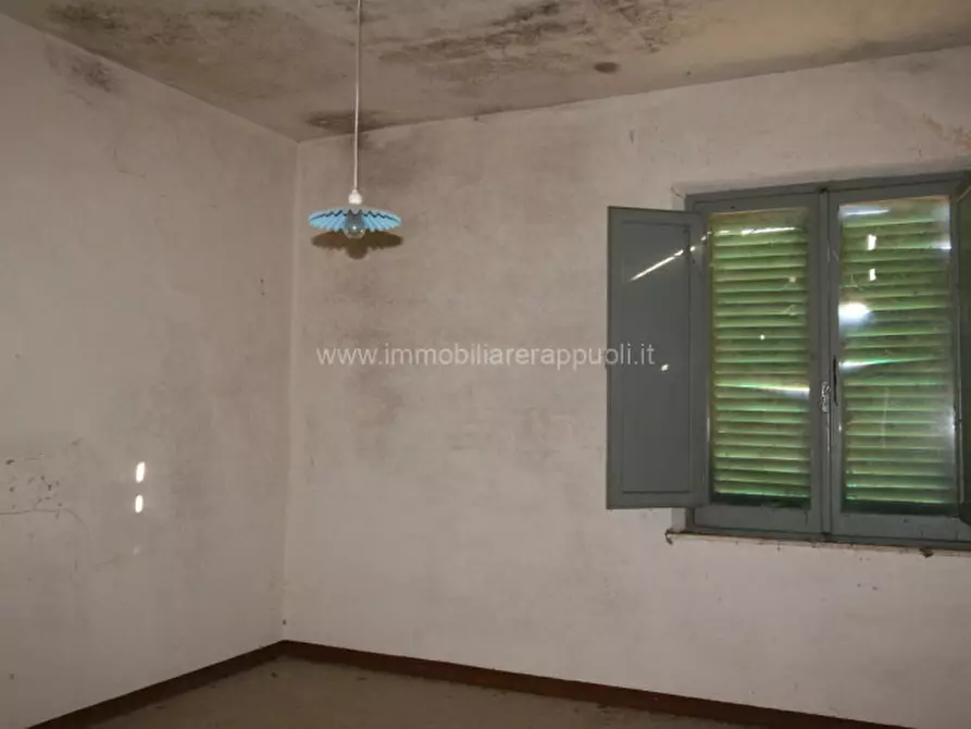 Immagine 12 di Rustico / casale in vendita  a Asciano