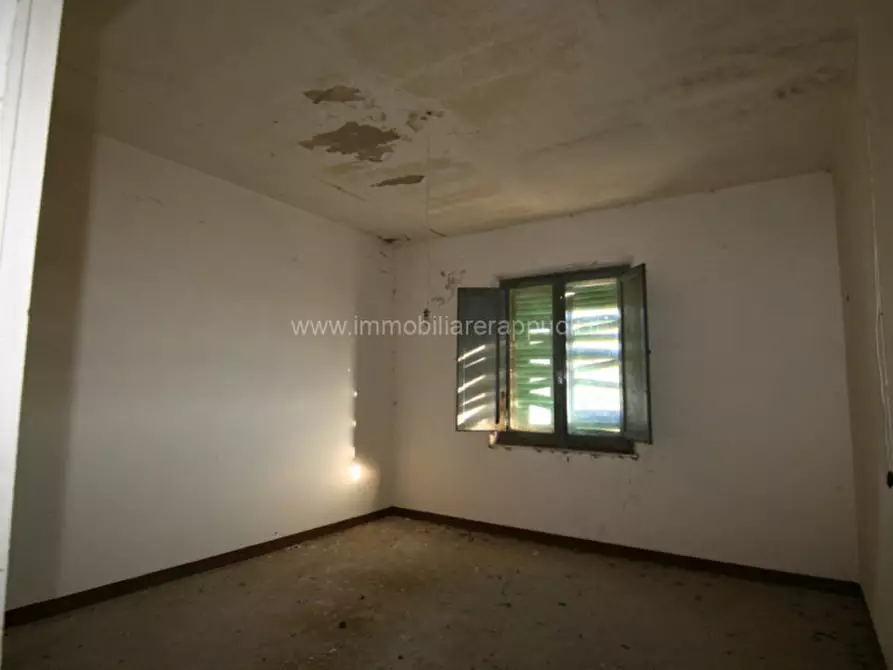 Immagine 14 di Rustico / casale in vendita  a Asciano