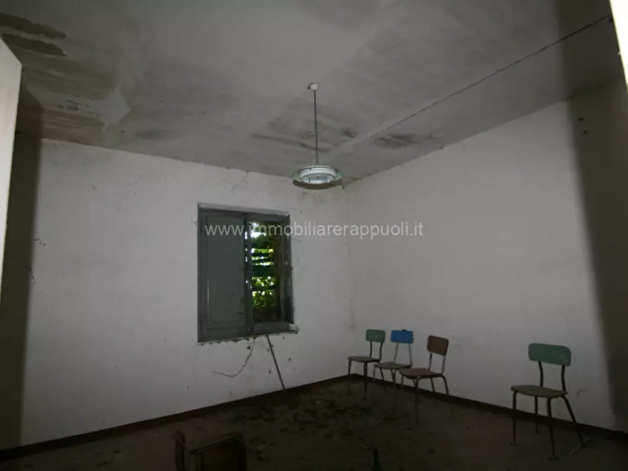 Immagine 15 di Rustico / casale in vendita  a Asciano