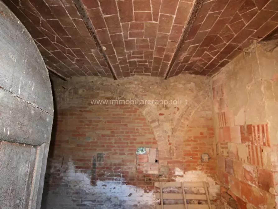 Immagine 17 di Rustico / casale in vendita  a Asciano