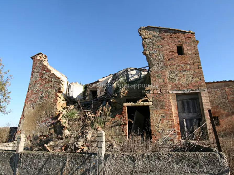 Immagine 18 di Rustico / casale in vendita  a Asciano