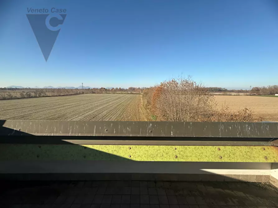 Immagine 3 di Villetta a schiera in vendita  a Legnaro