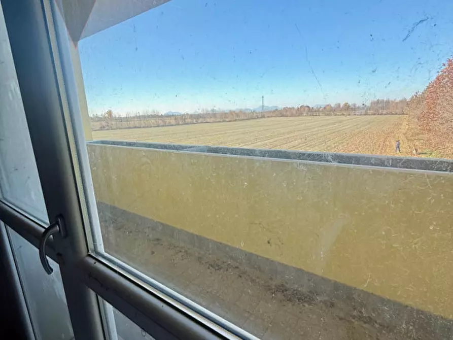 Immagine 14 di Villetta a schiera in vendita  a Legnaro