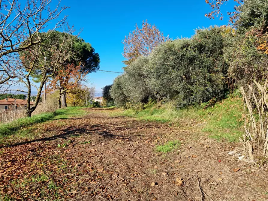 Immagine 40 di Attività commerciale in vendita  in piazzale orlandino calaon a Vo