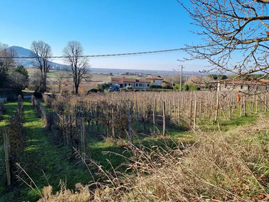 Immagine 41 di Attività commerciale in vendita  in piazzale orlandino calaon a Vo