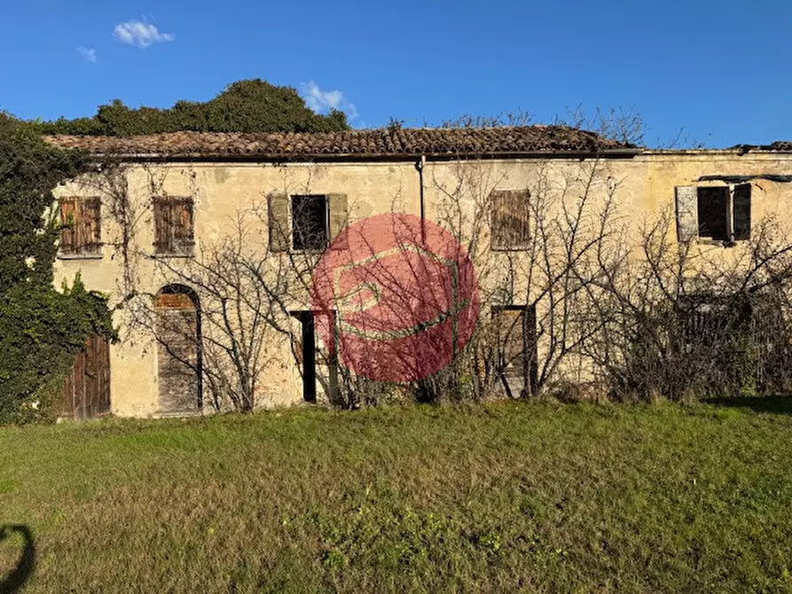 Immagine 2 di Rustico / casale in vendita  a Gambettola