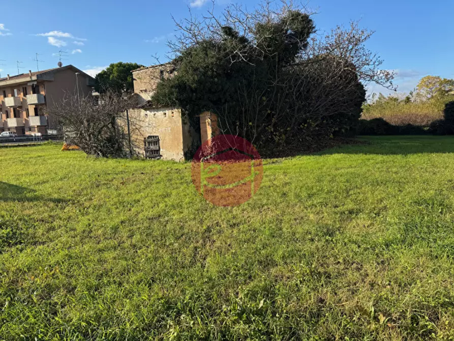 Immagine 4 di Rustico / casale in vendita  a Gambettola