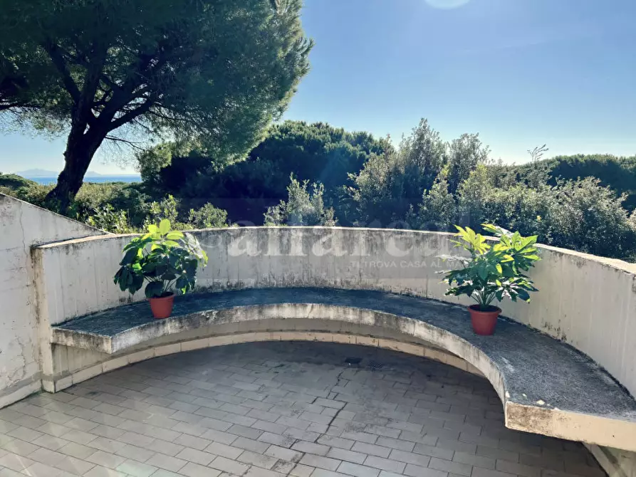 Immagine 1 di Casa quadrifamiliare in vendita  a Castiglione Della Pescaia