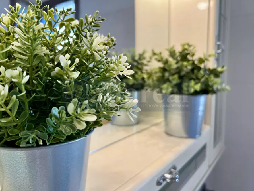 Immagine 31 di Casa quadrifamiliare in vendita  a Castiglione Della Pescaia