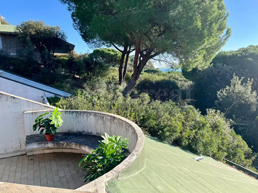 Immagine 37 di Casa quadrifamiliare in vendita  a Castiglione Della Pescaia